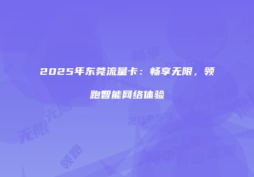 2025年东莞流量卡：畅享无限，领跑智能网络体验