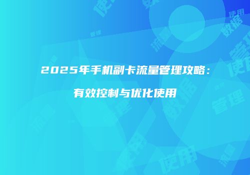 2025年手机副卡流量管理攻略:有效控制与优化使用