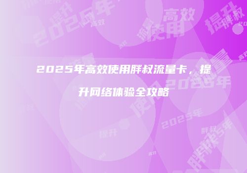 2025年高效使用胖叔流量卡,提升网络体验全攻略