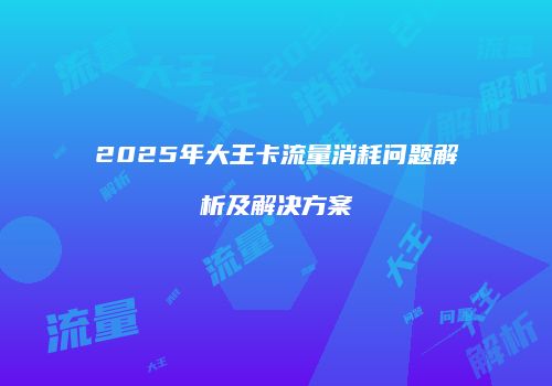 2025年大王卡流量消耗问题解析及解决方案