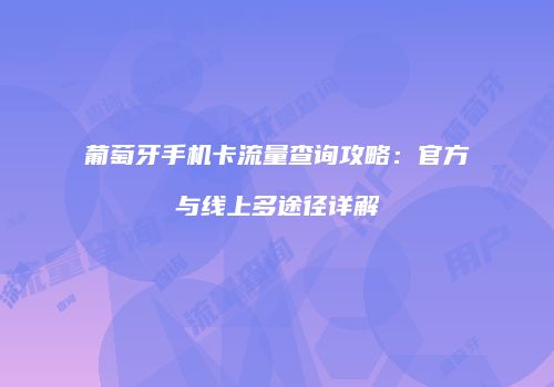 葡萄牙手机卡流量查询攻略：官方与线上多途径详解