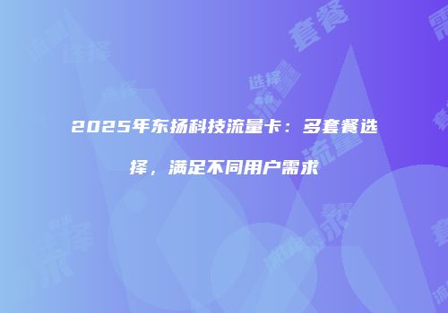 2025年东扬科技流量卡：多套餐选择，满足不同用户需求