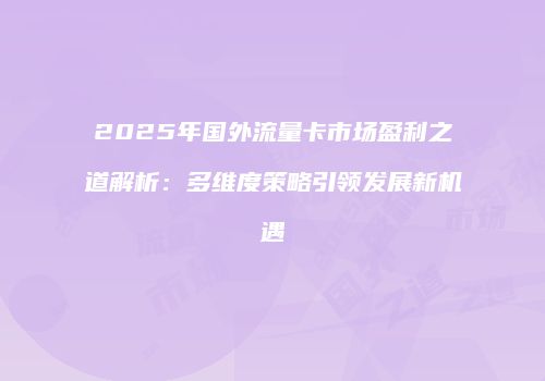 2025年国外流量卡市场盈利之道解析：多维度策略引领发展新机遇