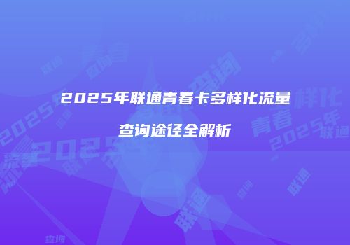 2025年联通青春卡多样化流量查询途径全解析