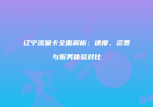 辽宁流量卡全面解析：速度、资费与服务体验对比