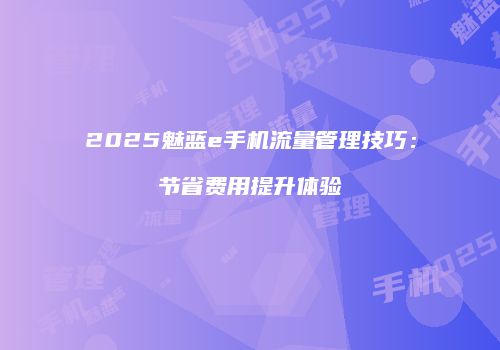 2025魅蓝e手机流量管理技巧：节省费用提升体验