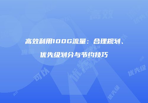 高效利用100G流量：合理规划、优先级划分与节约技巧