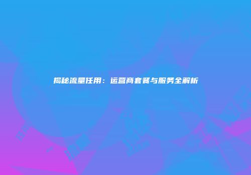 揭秘流量任用：运营商套餐与服务全解析