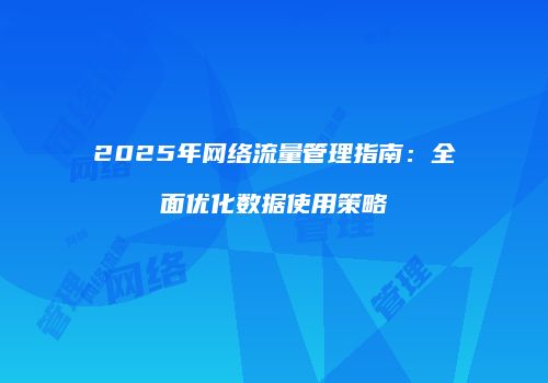 2025年网络流量管理指南：全面优化数据使用策略