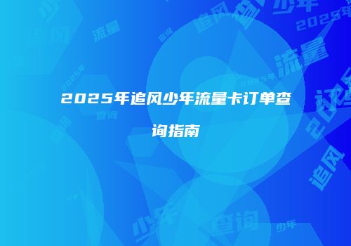 2025年追风少年流量卡订单查询指南