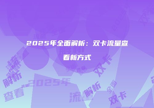 2025年全面解析：双卡流量查看新方式