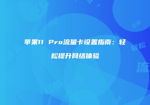 苹果11 Pro流量卡设置指南:轻松提升网络体验