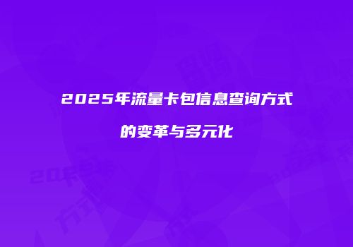 2025年流量卡包信息查询方式的变革与多元化