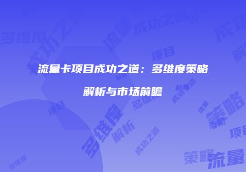 流量卡项目成功之道:多维度策略解析与市场前瞻