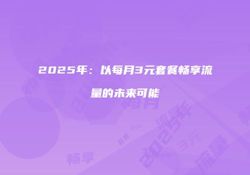 2025年：以每月3元套餐畅享流量的未来可能
