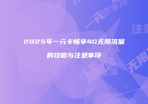 2025年一元卡畅享4G无限流量的攻略与注意事项