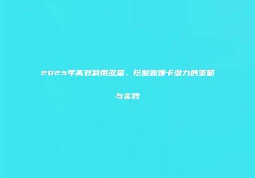 2025年高效利用流量，挖掘露娜卡潜力的策略与实践