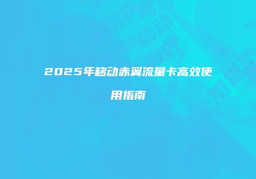 2025年移动赤翼流量卡高效使用指南