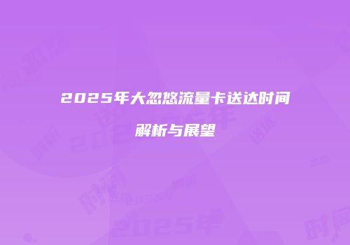 2025年大忽悠流量卡送达时间解析与展望