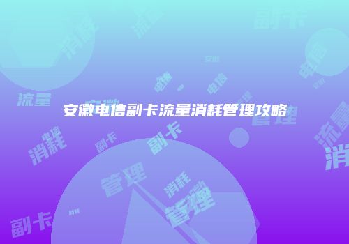 安徽电信副卡流量消耗管理攻略