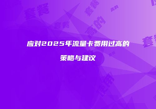 应对2025年流量卡费用过高的策略与建议