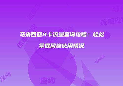 马来西亚H卡流量查询攻略:轻松掌握网络使用情况