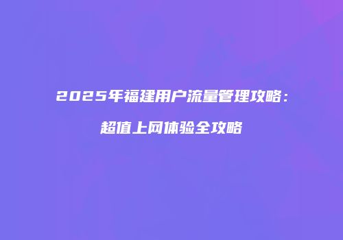 2025年福建用户流量管理攻略：超值上网体验全攻略