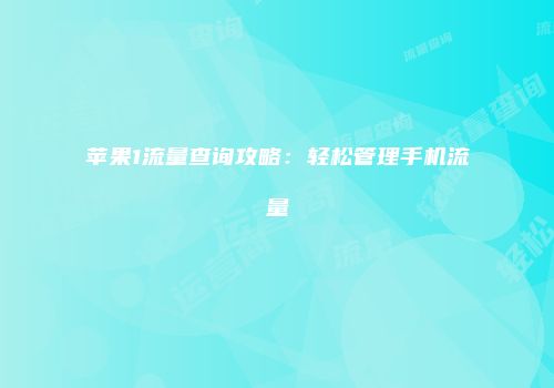 苹果1流量查询攻略：轻松管理手机流量