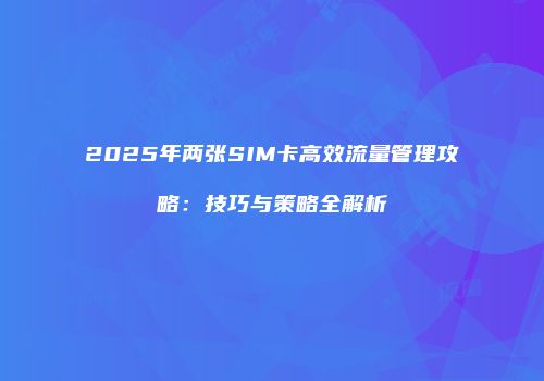 2025年两张SIM卡高效流量管理攻略：技巧与策略全解析