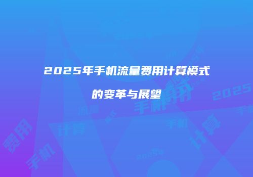2025年手机流量费用计算模式的变革与展望