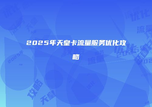 2025年天皇卡流量服务优化攻略