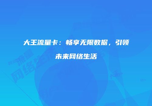 大王流量卡：畅享无限数据，引领未来网络生活