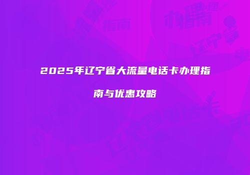 2025年辽宁省大流量电话卡办理指南与优惠攻略