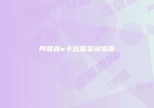 阿联酋e卡流量查询指南