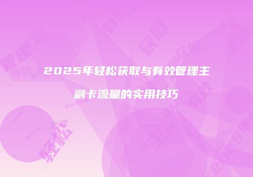 2025年轻松获取与有效管理主副卡流量的实用技巧