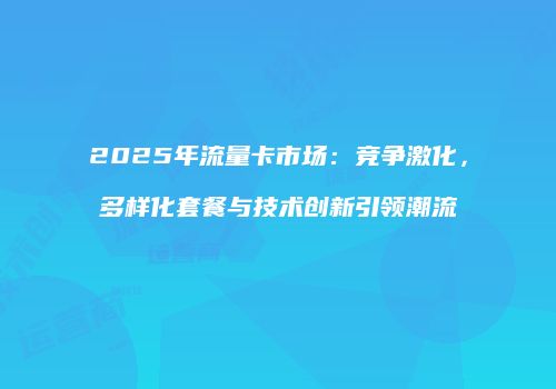 2025年流量卡市场：竞争激化，多样化套餐与技术创新引领潮流