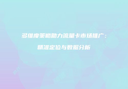 多维度策略助力流量卡市场推广：精准定位与数据分析