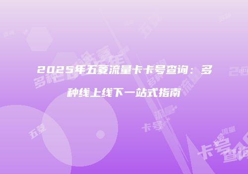 2025年五菱流量卡卡号查询:多种线上线下一站式指南