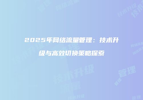 2025年网络流量管理：技术升级与高效切换策略探索