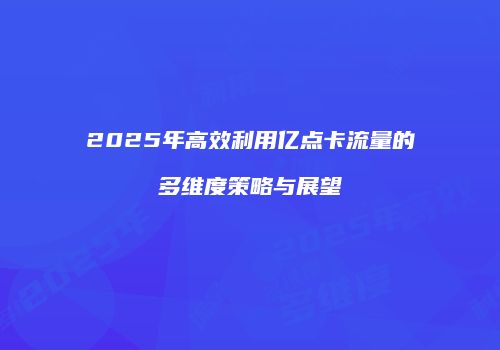 2025年高效利用亿点卡流量的多维度策略与展望