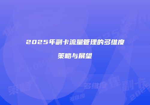 2025年副卡流量管理的多维度策略与展望