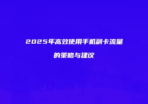 2025年高效使用手机副卡流量的策略与建议