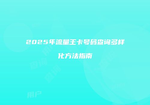 2025年流量王卡号码查询多样化方法指南