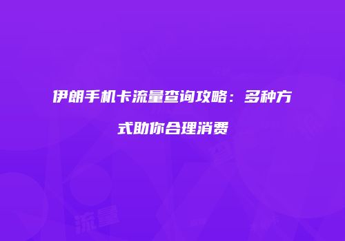 伊朗手机卡流量查询攻略：多种方式助你合理消费
