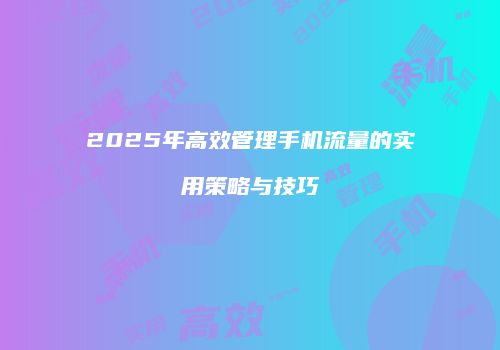 2025年高效管理手机流量的实用策略与技巧
