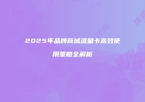 2025年品牌商城流量卡高效使用策略全解析