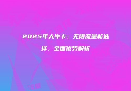 2025年大牛卡：无限流量新选择，全面优势解析