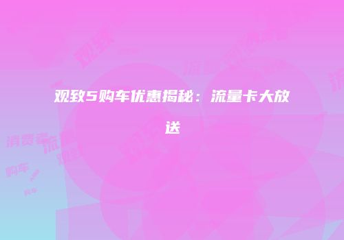观致5购车优惠揭秘:流量卡大放送