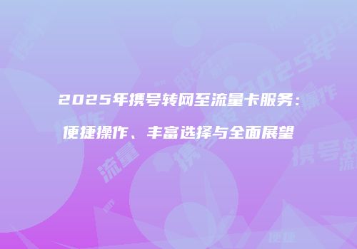 2025年携号转网至流量卡服务：便捷操作、丰富选择与全面展望