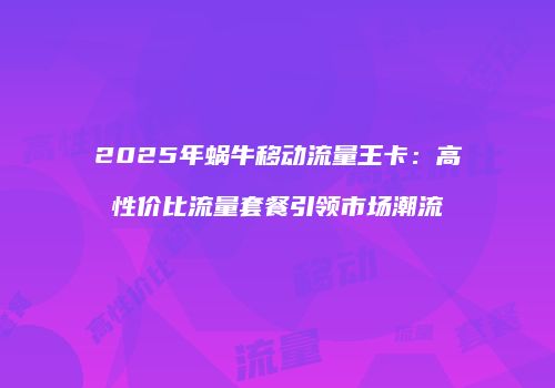 2025年蜗牛移动流量王卡：高性价比流量套餐引领市场潮流